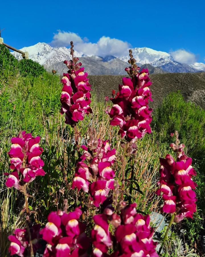 Сasa de vacaciones Arribadelvalle - Casas De Altura Potrerillos